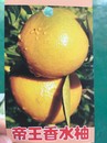 帝王香水柚